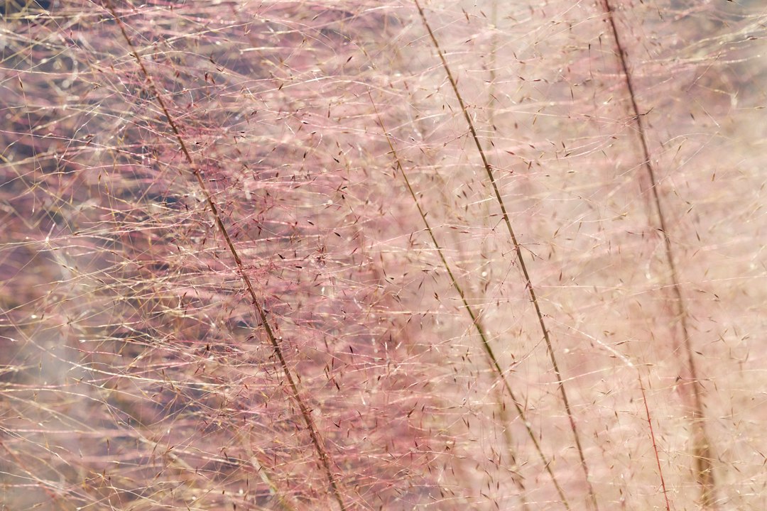 Visual illustration for 不同毛线材质手感对比